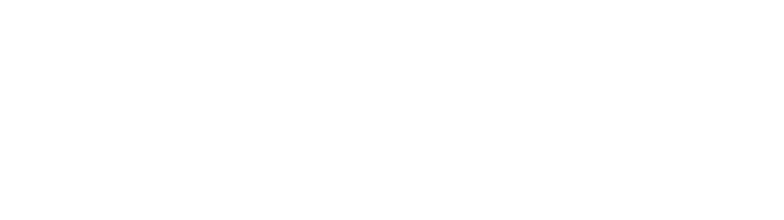 Shapland Bags